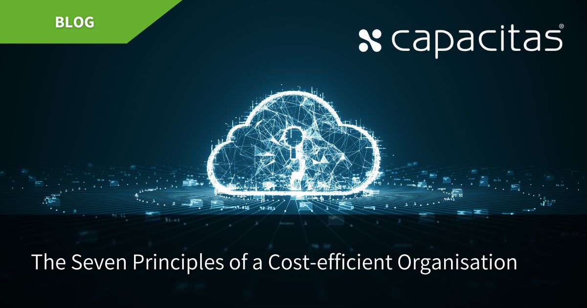 The Seven Principles of a Cost-efficient Organisation